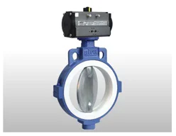 Pneumatic Replaceable Muffler Butterfly Valve