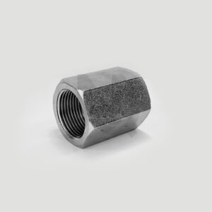 BSP FEMALE SOCKET