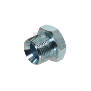 BSP MALE PLUG