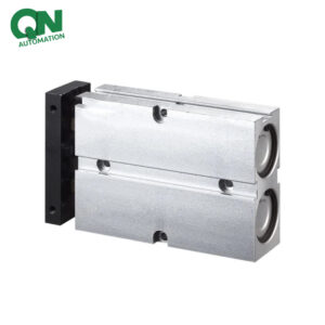 TN Series Double Shaft Cylinder