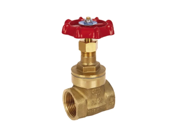 brass gate valve 1
