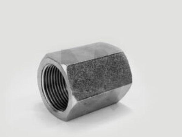 BSP FEMALE SOCKET