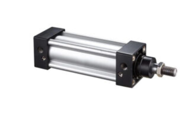 Mickey Mouse Tube Type Cylinder