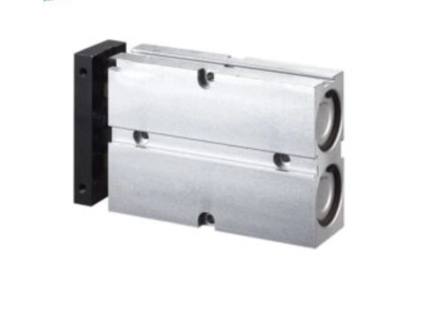 TN Series Double Shaft Cylinder