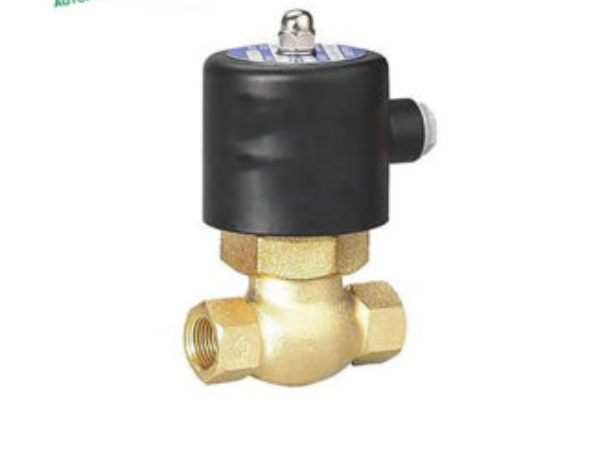 Two Way Steam Valve