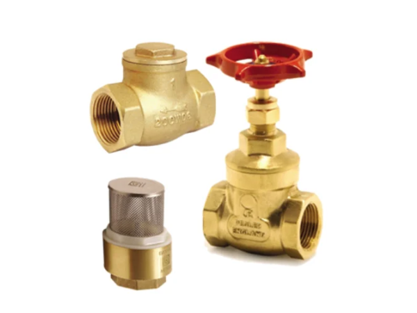 Brass Gate valves & Foot valves
