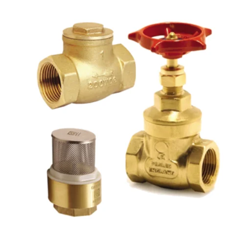 Brass Gate valves & Foot valves