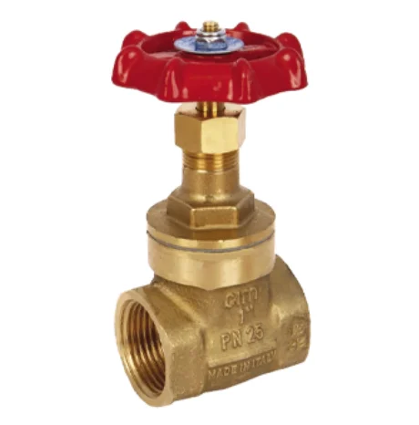 brass gate valve